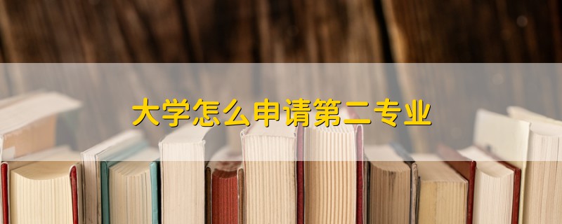 大學(xué)怎么申請第二專業(yè)