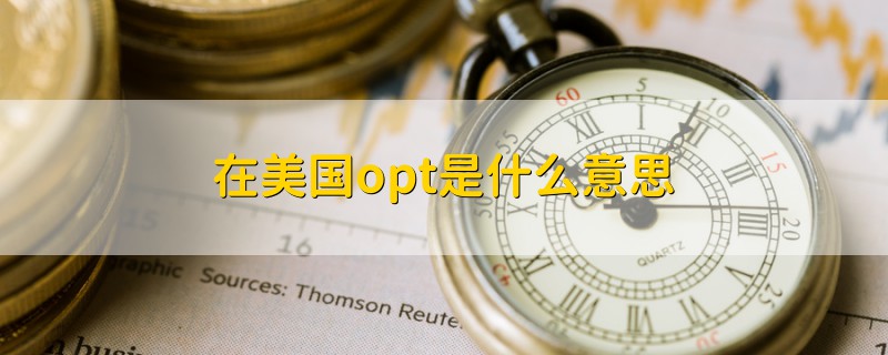 在美國opt是什么意思