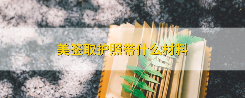 美簽取護(hù)照帶什么材料