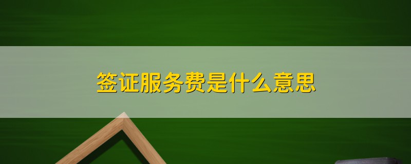 簽證服務(wù)費是什么意思