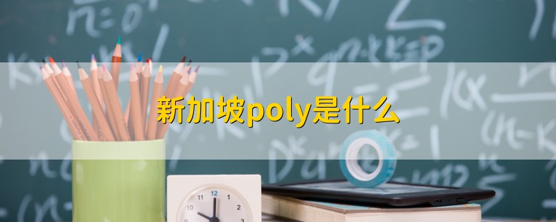 新加坡poly是什么