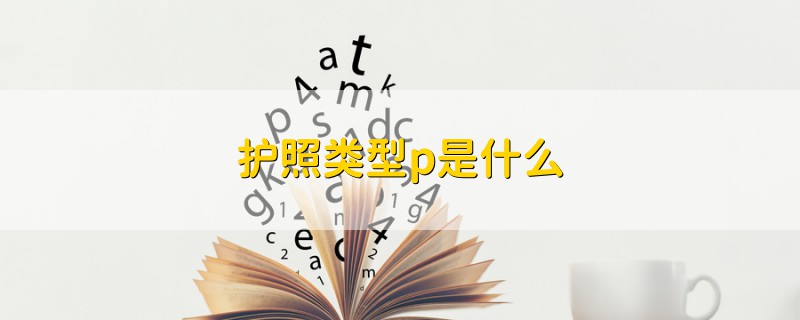 護(hù)照類型p是什么