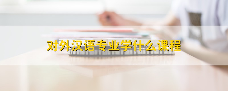 對(duì)外漢語專業(yè)學(xué)什么課程