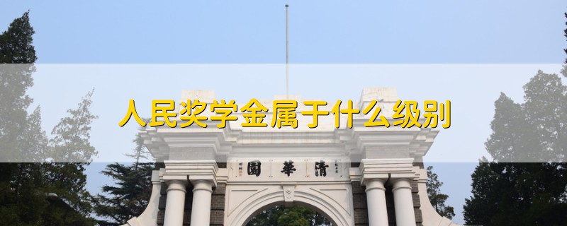 人民獎(jiǎng)學(xué)金屬于什么級(jí)別