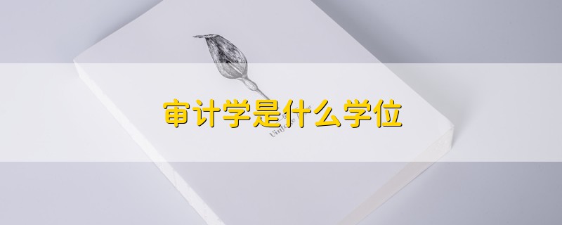 審計學(xué)是什么學(xué)位