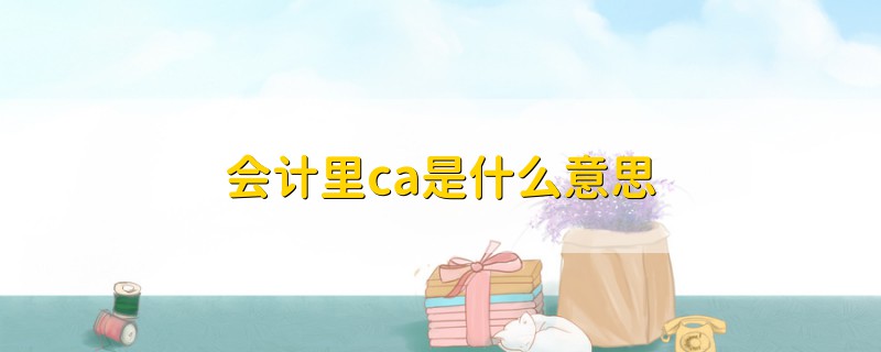 會(huì)計(jì)里ca是什么意思