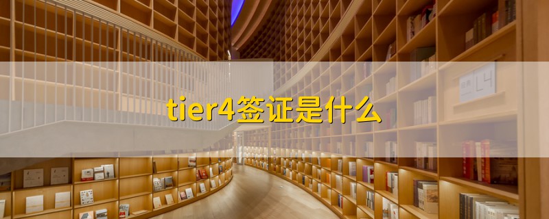 tier4簽證是什么