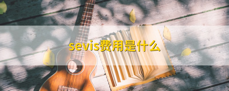 sevis費(fèi)用是什么