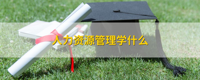 人力資源管理學(xué)什么