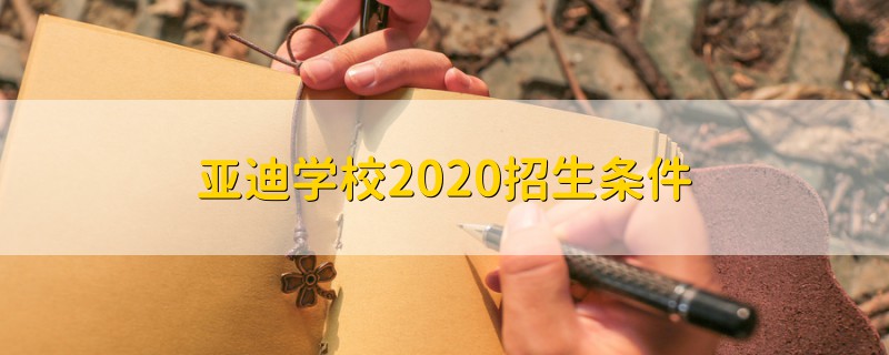 亞迪學(xué)校2020招生條件