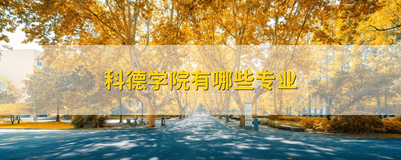 科德學(xué)院有哪些專業(yè)