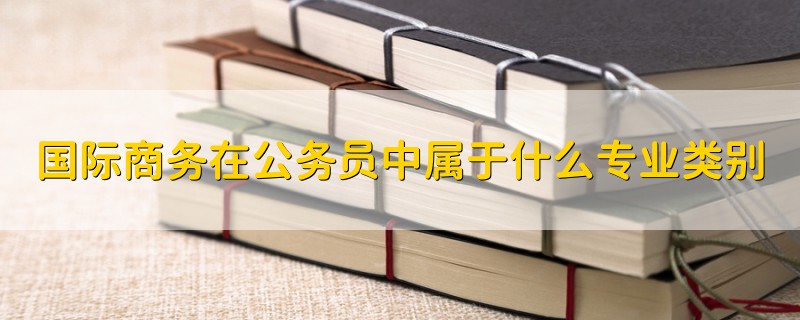 國際商務在公務員中屬于什么專業(yè)類別