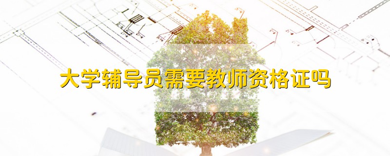 大學輔導員需要教師資格證嗎