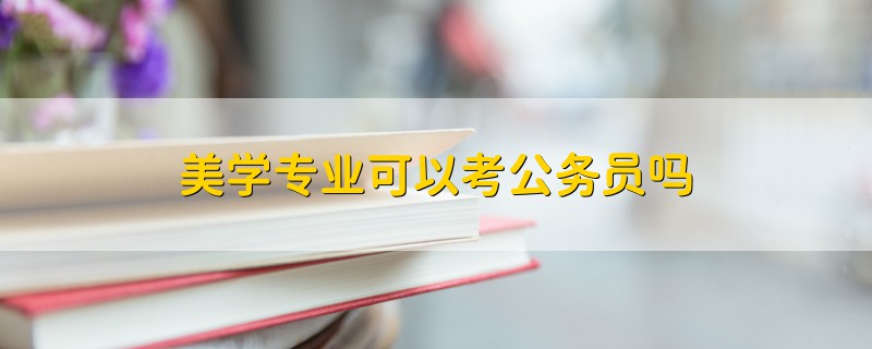 美學專業(yè)可以考公務員嗎