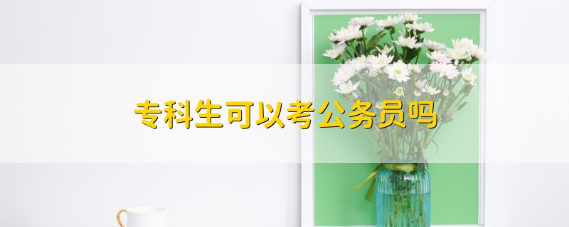 ?？粕梢钥脊珓?wù)員嗎