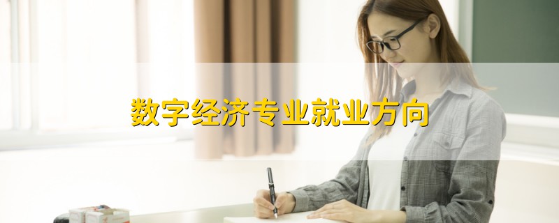 數(shù)字經(jīng)濟(jì)專業(yè)就業(yè)方向