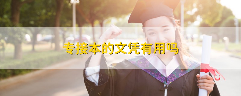 專接本的文憑有用嗎