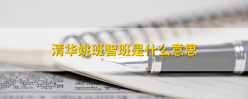 清華姚班智班是什么意思