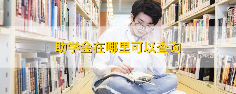 助學金在哪里可以查詢