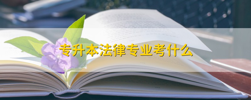 專升本法律專業(yè)考什么