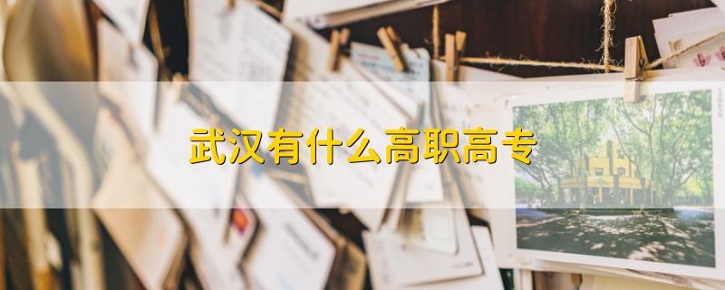 武漢有什么高職高專(zhuān)