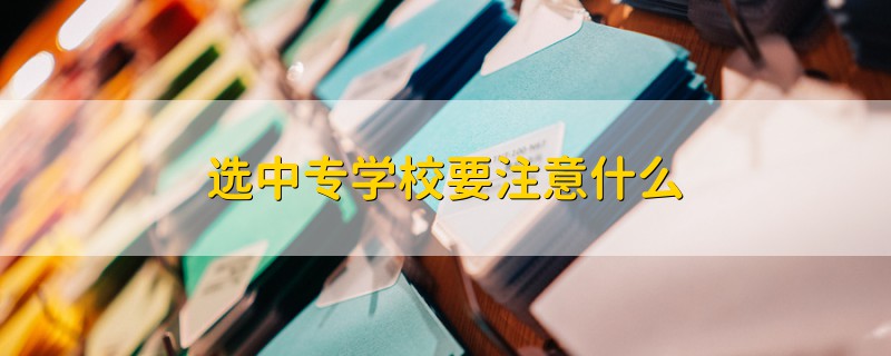 選中專學校要注意什么