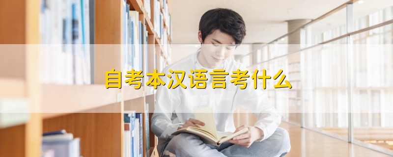 自考本漢語(yǔ)言考什么