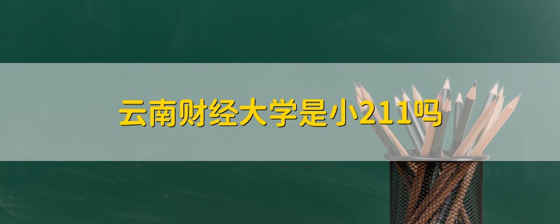 云南財經(jīng)大學(xué)是小211嗎