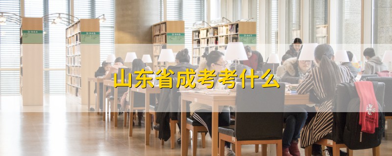 山東省成考考什么