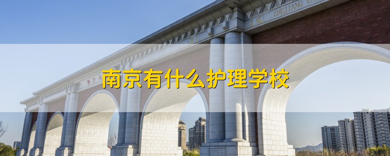 南京有什么護理學校
