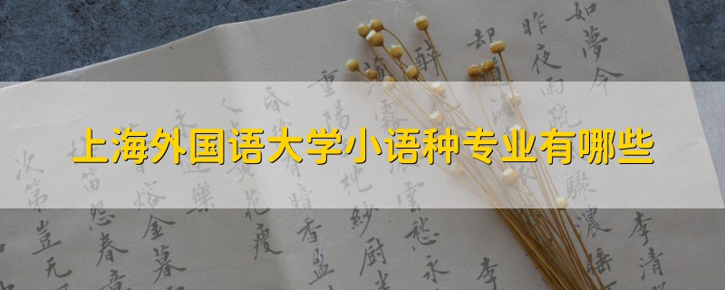 上海外國(guó)語(yǔ)大學(xué)小語(yǔ)種專業(yè)有哪些