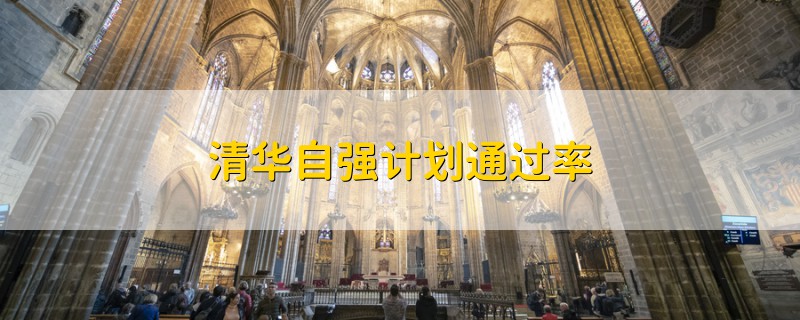清華自強(qiáng)計(jì)劃通過率