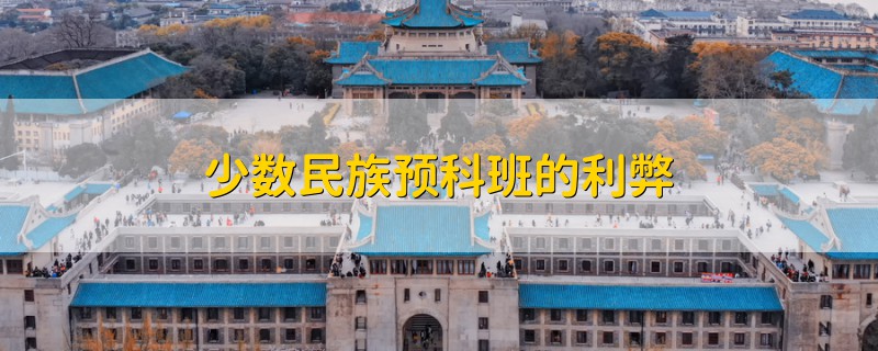 少數(shù)民族預(yù)科班的利弊