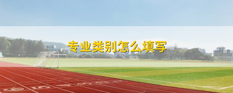 專業(yè)類別怎么填寫