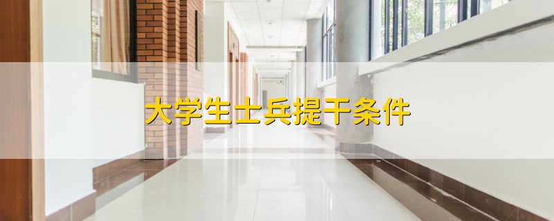 大學(xué)生士兵提干條件