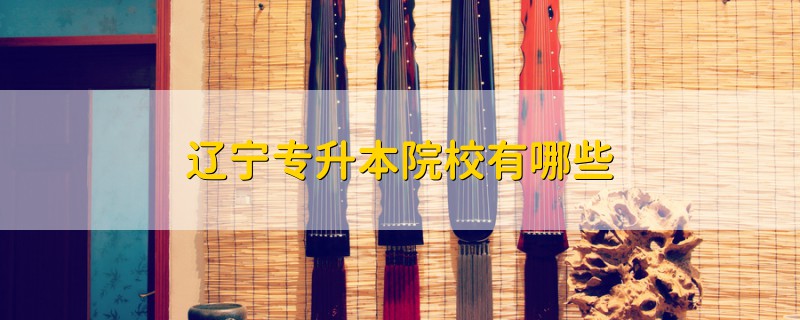 遼寧專升本院校有哪些