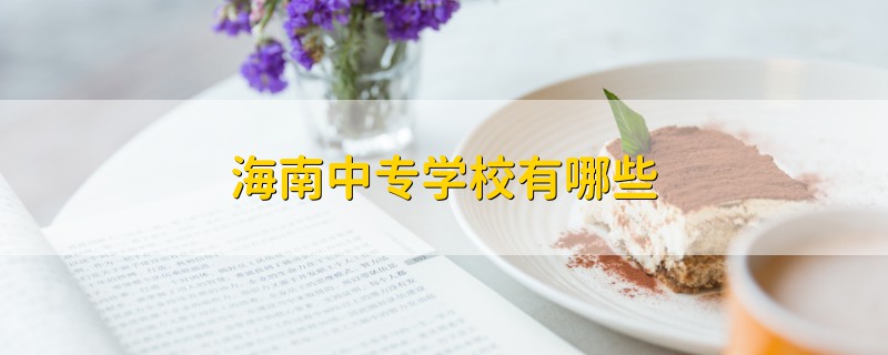 海南中專學(xué)校有哪些