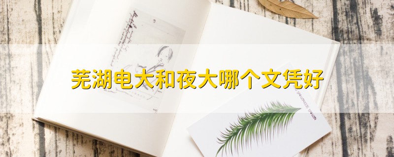 蕪湖電大和夜大哪個文憑好