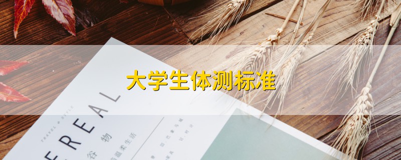 大學(xué)生體測(cè)標(biāo)準(zhǔn)