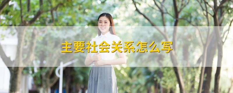 主要社會關(guān)系怎么寫