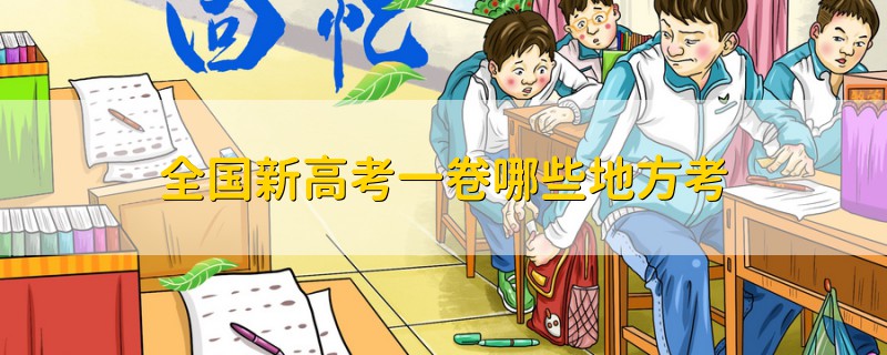 全國新高考一卷哪些地方考