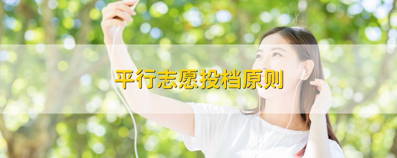 平行志愿投檔原則