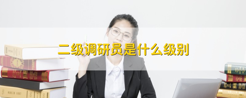 二級調(diào)研員是什么級別