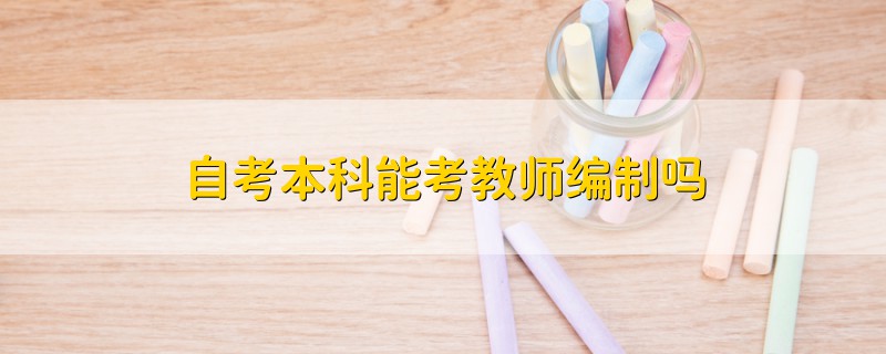 自考本科能考教師編制嗎