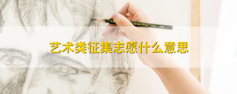 藝術類征集志愿什么意思