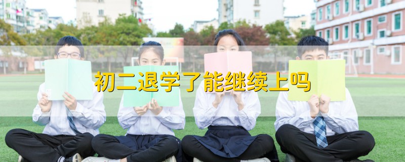 初二退學了能繼續(xù)上嗎