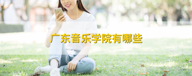 廣東音樂(lè)學(xué)院有哪些