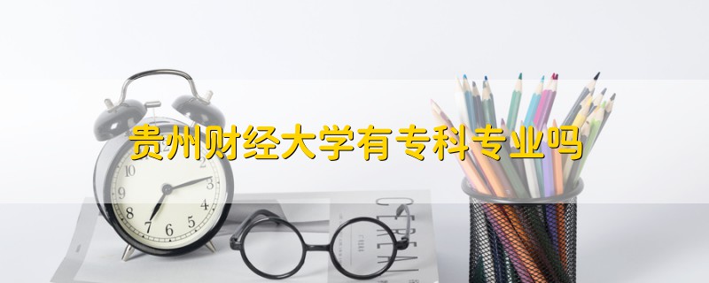 貴州財(cái)經(jīng)大學(xué)有專科專業(yè)嗎