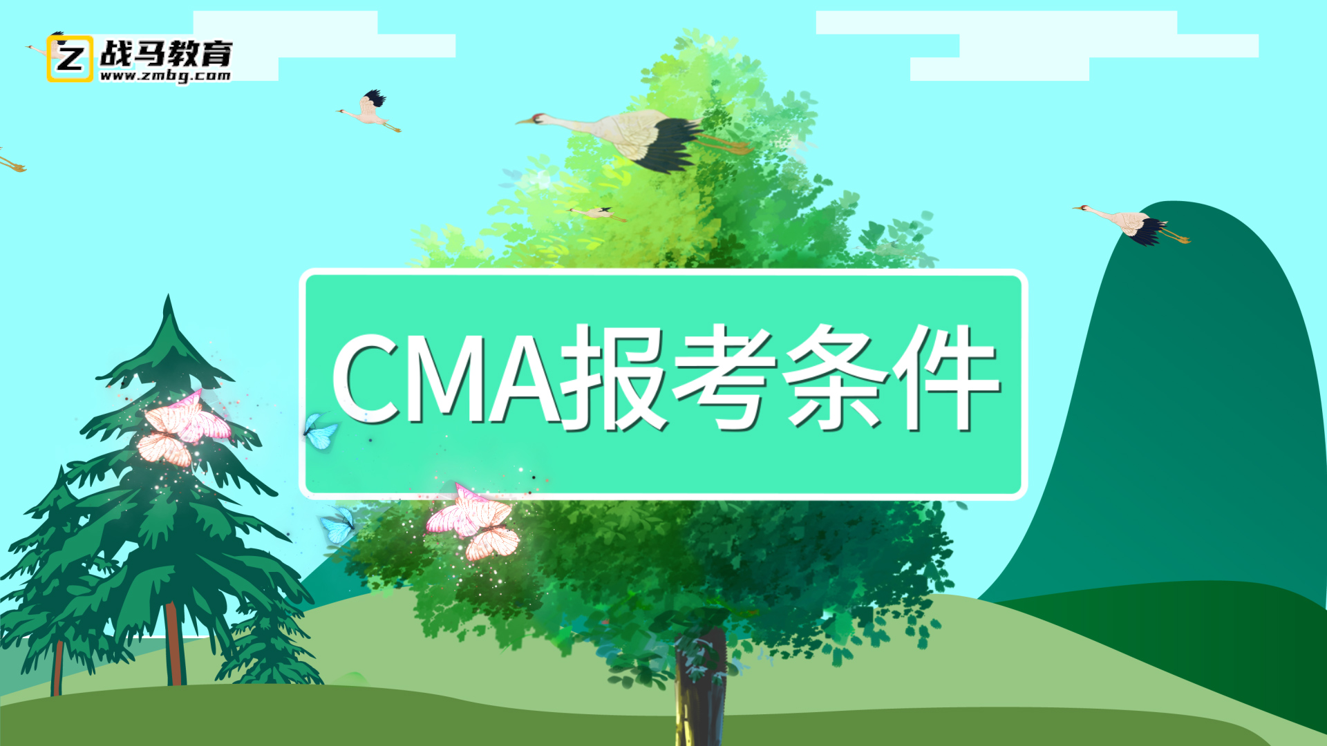 cma報(bào)考條件