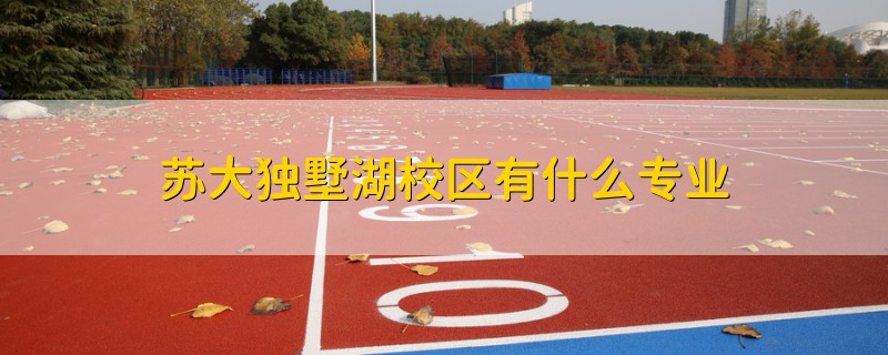 蘇大獨(dú)墅湖校區(qū)有什么專業(yè)